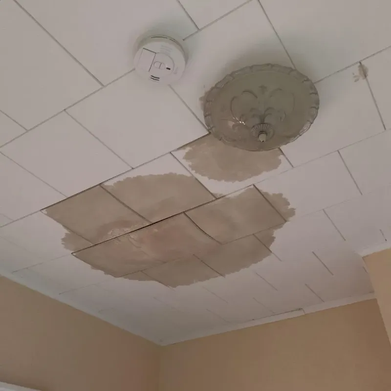 Ceiling Water Damage Repair in Terrell County, TX