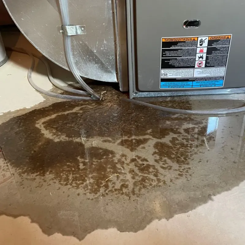 Pipe Burst and Leak Restoration in Terrell County, TX
