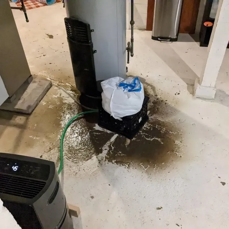 Sewage Backup Cleanup Service in Terrell County, TX
